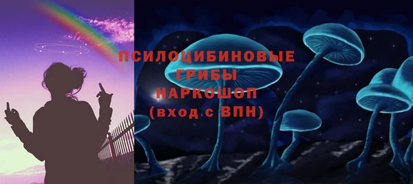 эйфоретик Кулебаки