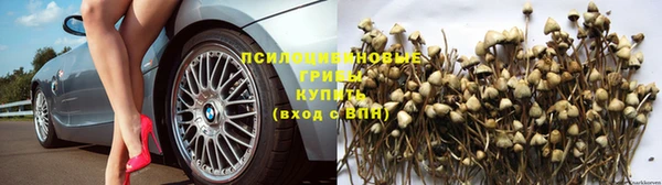 эйфоретик Кулебаки