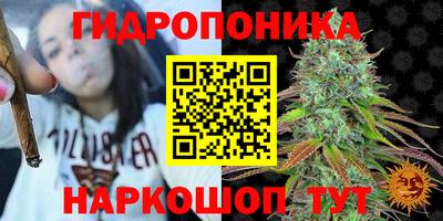 не бодяженный Кингисепп