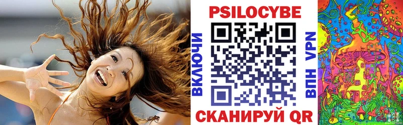 Псилоцибиновые грибы Psilocybine cubensis  Краснознаменск 