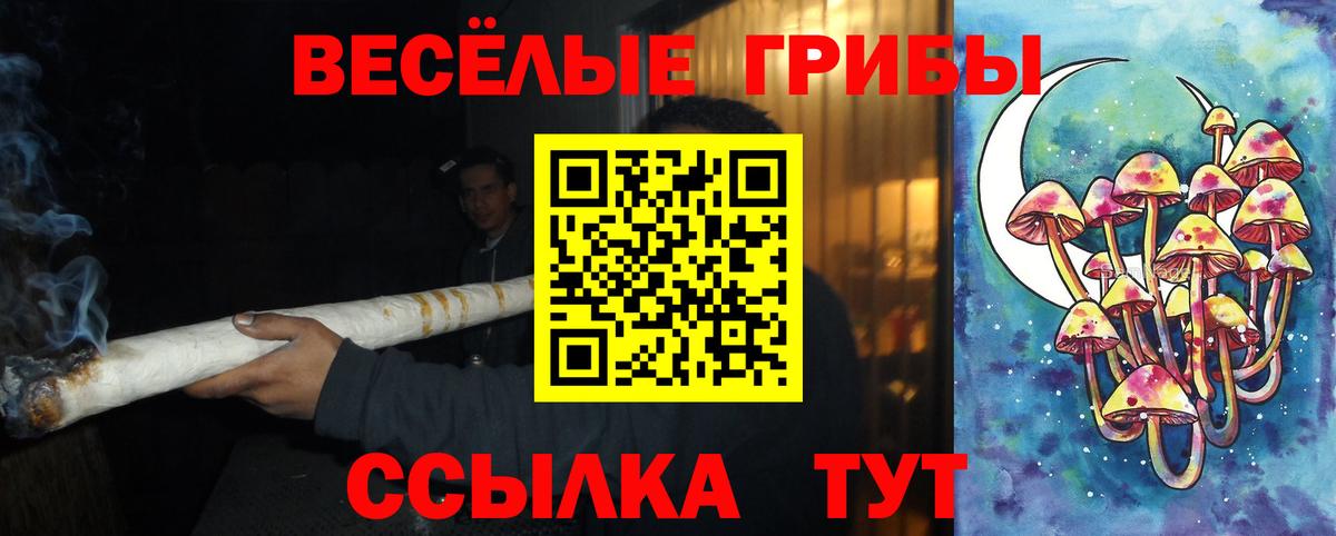 Галлюциногенные грибы Psilocybe  где купить   Краснознаменск  Вход с VPN 